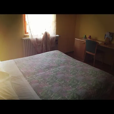 Viola 2* Вальдидентро