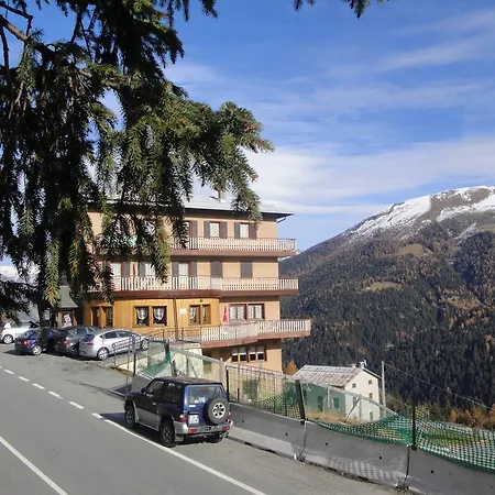 Hotel Viola